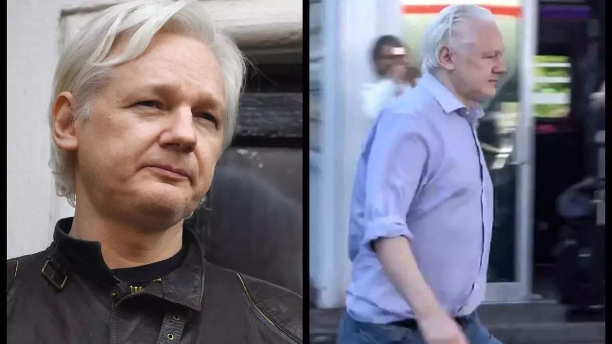 A proposito di Assange